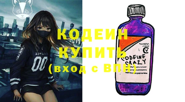 индика Семилуки