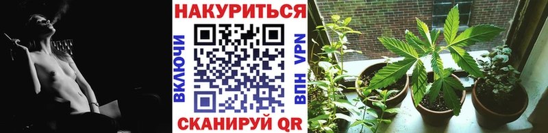 Канабис Amnesia  наркотики  Калачинск 